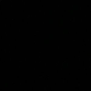 Meet your Posher, Abigail